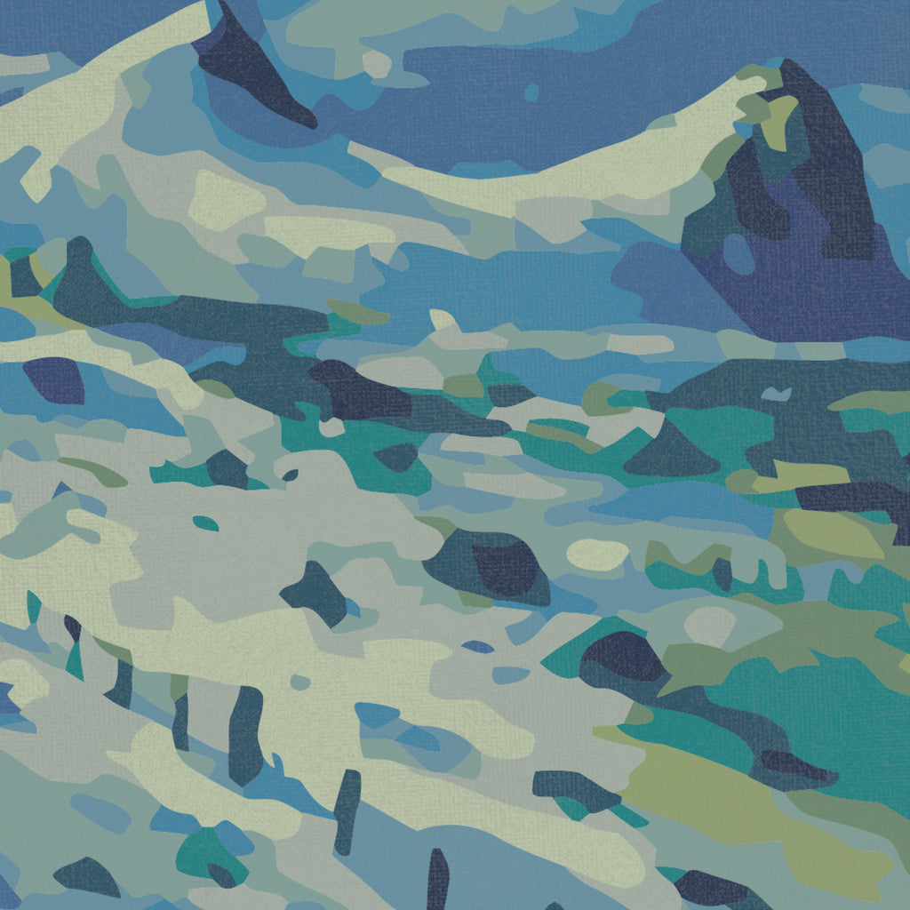 預售｜極地謊言