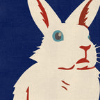 我的，我的白兔