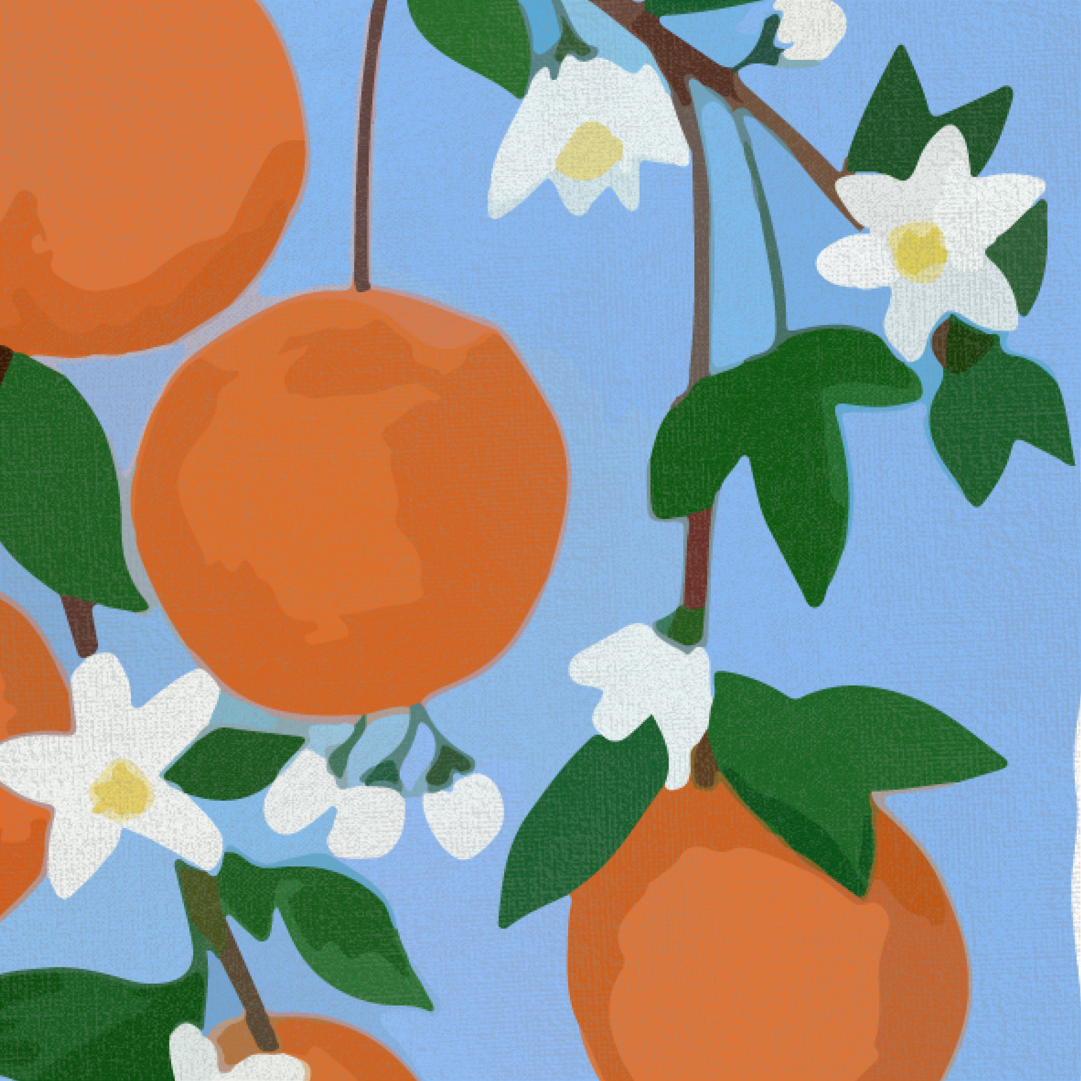 Orange Blossom Letter