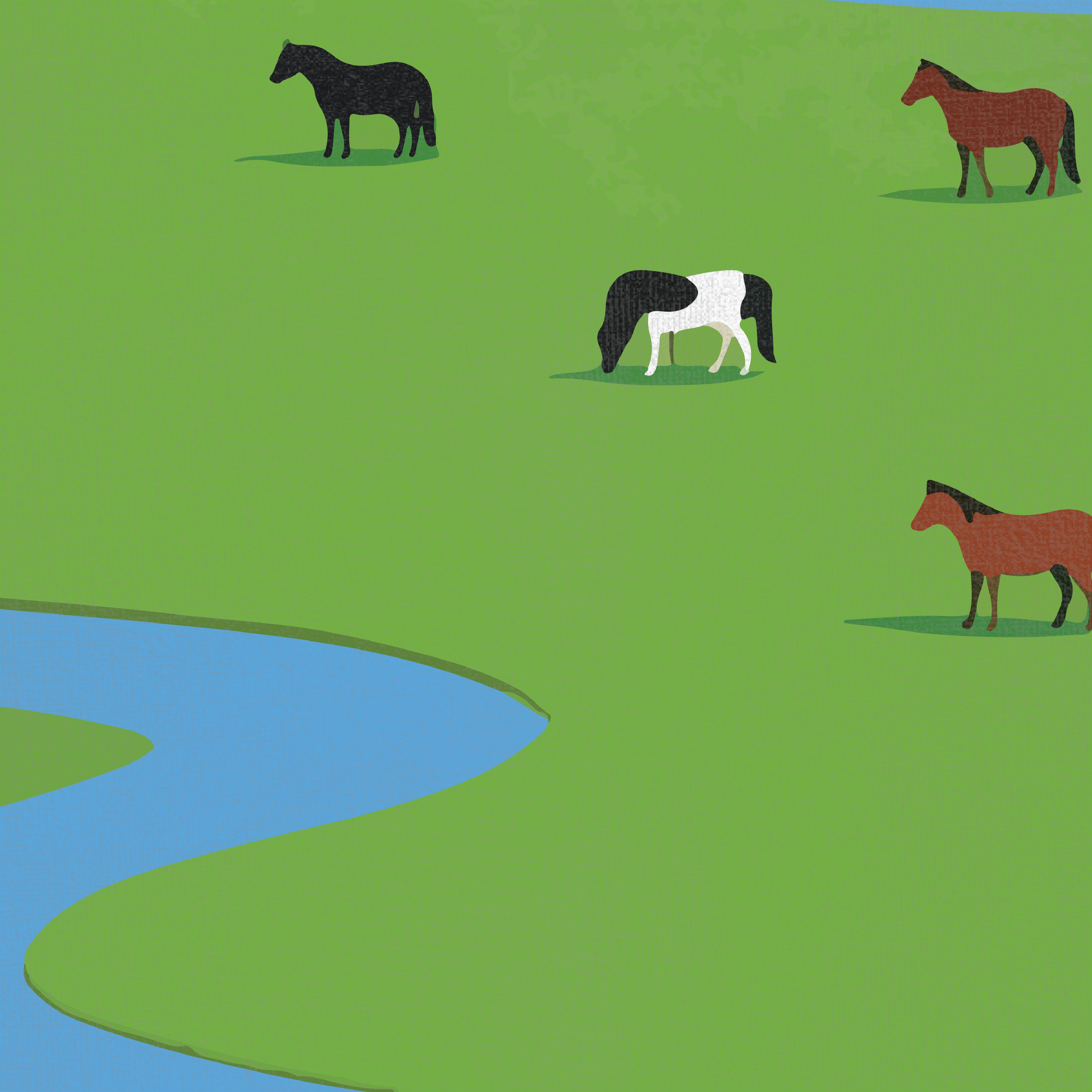 Afternoon at the Bend