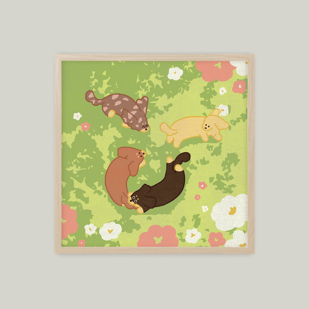 夏天的樹蔭剛剛好