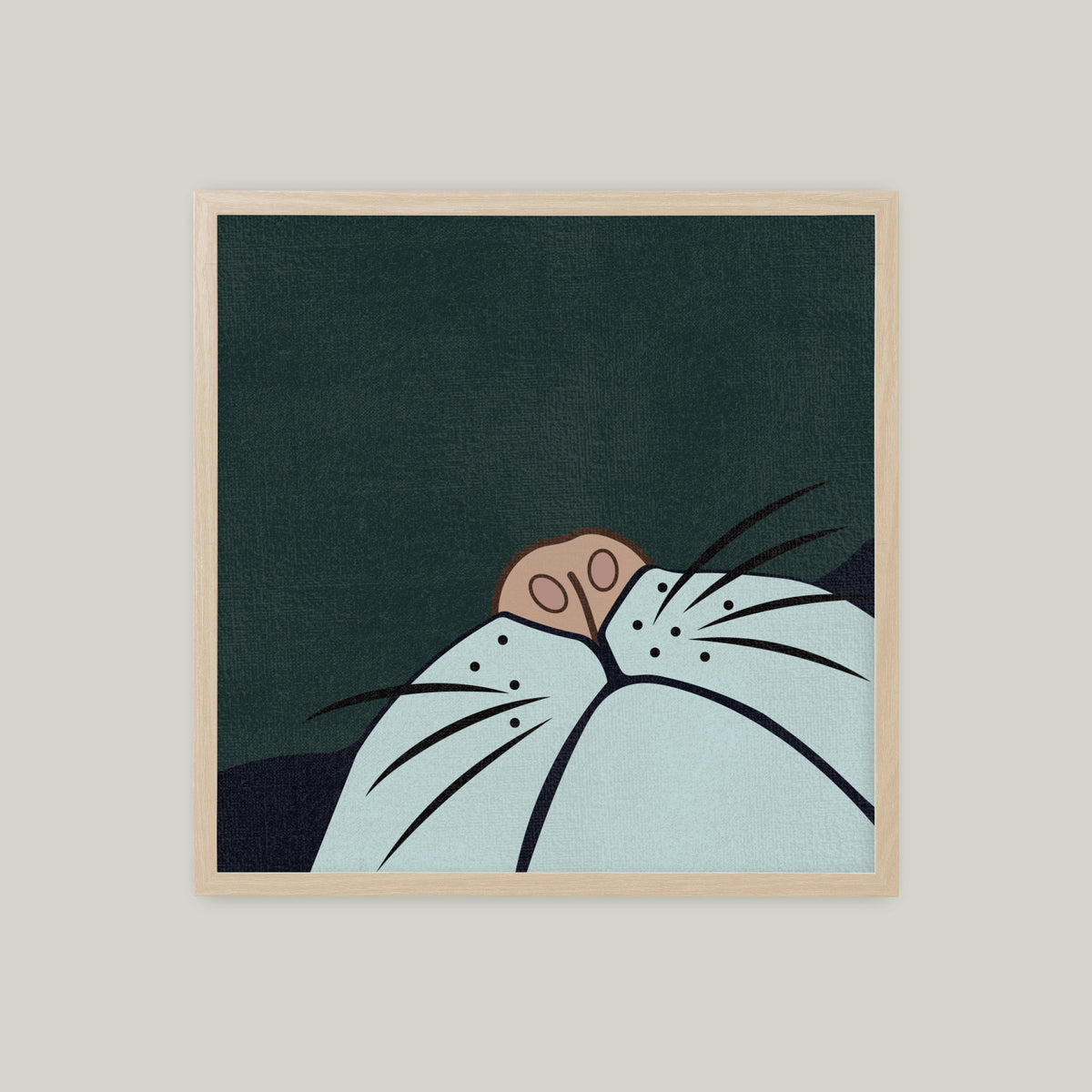 預售｜貓奴視角