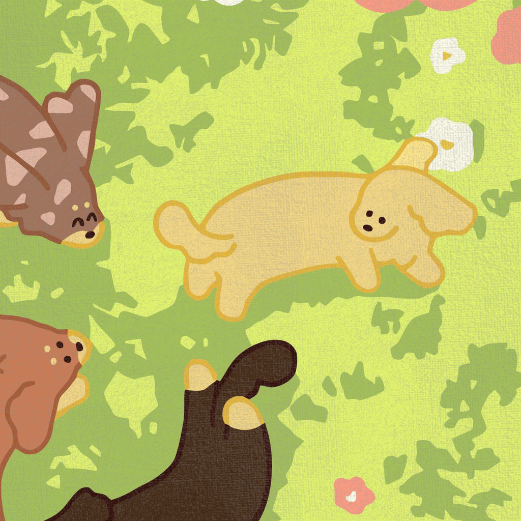 夏天的樹蔭剛剛好