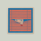 百葉之間的三秒